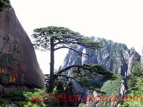 黄山旅游：一个美丽的误解？
