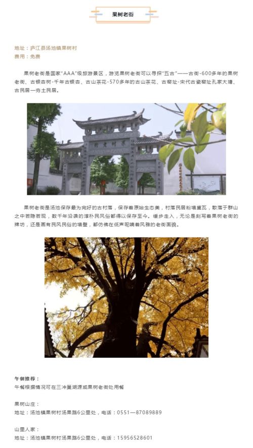 2.1 拙政园：在喧嚣中， 试图与古人对话