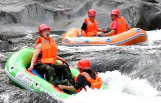 2026年黄历预警：属鸡属狗的千万别去！