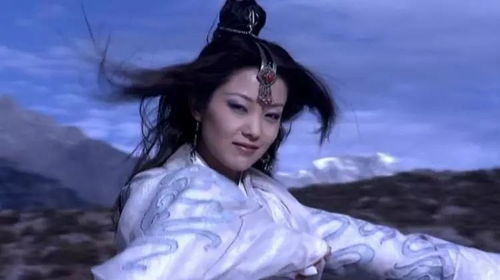三、情感寄托与缺失