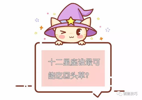 暴躁小白羊：一点就着的火药桶