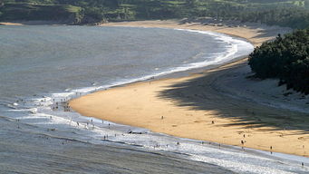 福建霞浦：滩涂大冒险