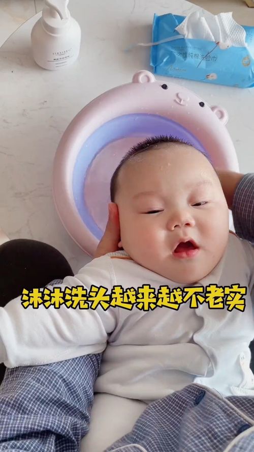 7个月人类幼崽投喂指南：在家都吃些啥玩意儿