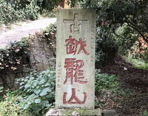 门票大坑：花钱买罪受