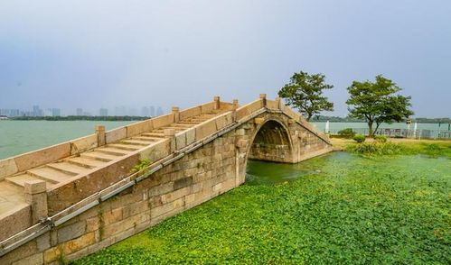 住在郜台乡的