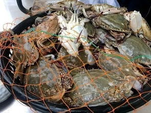 二、 市场本体——菜篮子海鲜批发中心（别叫它菜篮子）