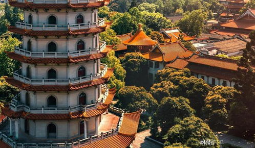Day 2：鼓山——爬到你怀疑人生