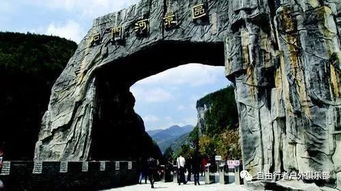 停车？APP都是骗鬼的！