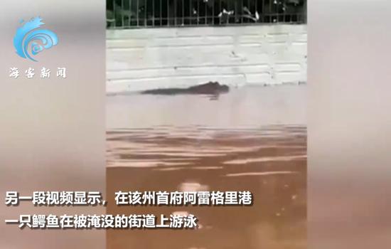 员工失踪：生肖犯冲，在劫难逃