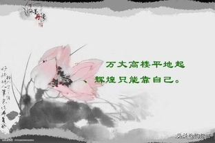 沈家小公主取名大作战！这些名字美到窒息