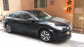 属马的朋友：驿马星动