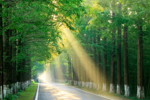 二、那些神秘的古村落传说