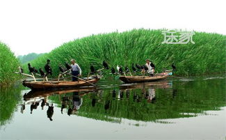 交通：简直是场噩梦