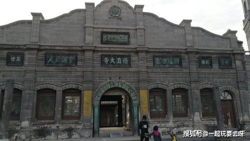 猫山公园里的那只猫去哪了？