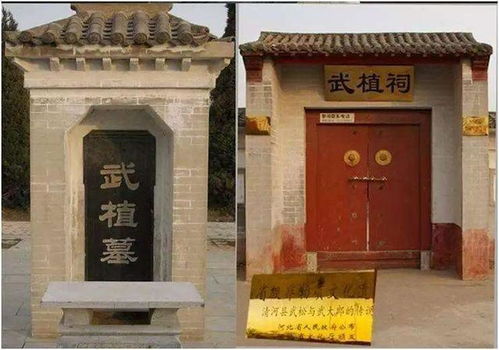 家人们谁懂啊？为了流清河那XX元门票 我五一差点把青岛公交坐穿…