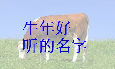 孟姓起名有什么好的建议吗？有没有什么寓意美好的名字推荐？