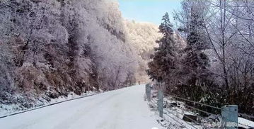 雪景迷人：夜幕下的星光之城