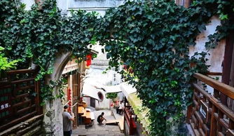 2.2 沙漠玫瑰客栈