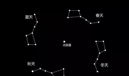 猪八戒vs孙悟空：选错技能的悲惨人生