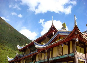 探访黄龙潭寺：一次心灵之旅(未完成)