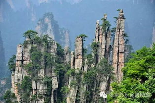 避开人流的秘诀 (敲黑板！)