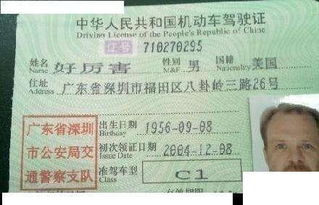 名字真实的会作用于命运吗？——一段乱七八糟的思考