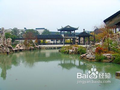 六、 东山景区（免费）——谢安钓鱼记忆碎片 & 奇怪指石传说