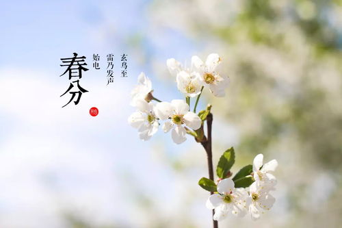 春分民俗热爆全网，春意盎然传统风