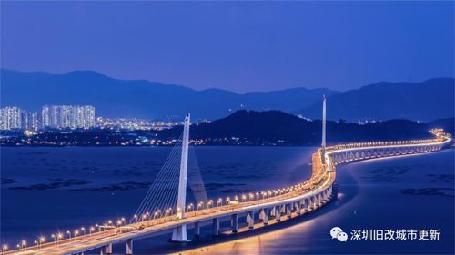 深圳这边的故事：高楼大厦和人山人海