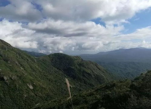 交通指南：轻松抵达， 畅游平沙岛