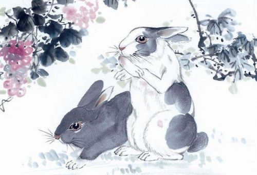 改朝换代对应的生肖是哪个？有没有人嫩告诉我？