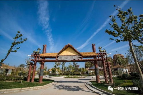 魔幻现实主义晨练图鉴