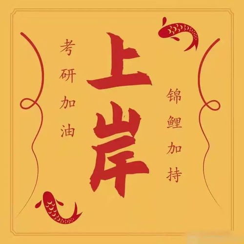 人际协同与仪式