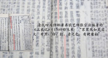 起源与演变
