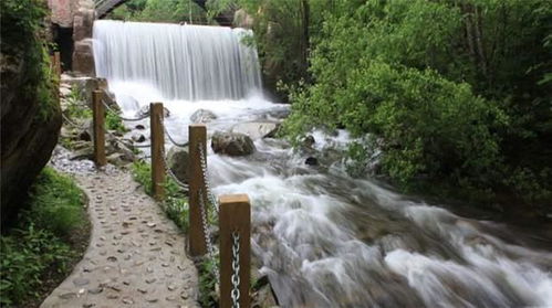 从林场到景区：野蛮生长与理性开发之间的拔河