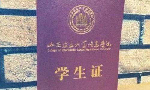 学生票の千层套路