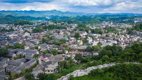 1. 游客：从愤怒到佛系