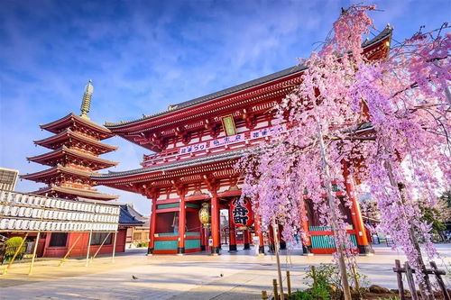 一、 双城联动，福田市旅游的全新启航