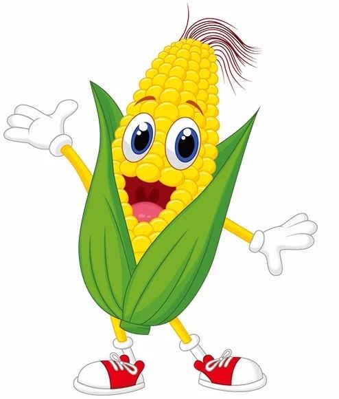 玉米深处猴子掰玉米，玉米突然变鬼脸，猴子惊恐逃窜，这是怎么回事？