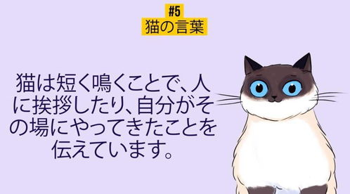 # 狗吠月下——戌时守护者：