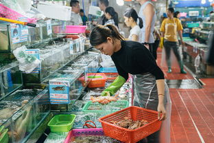 椰子的市场攻略