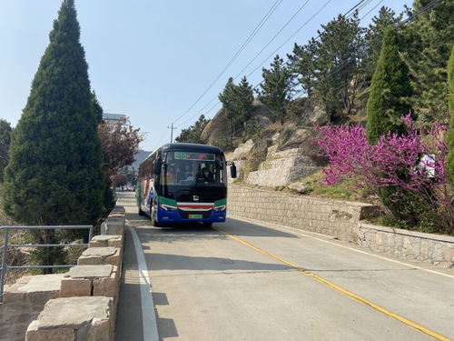 坐公交？比蜗牛还慢！