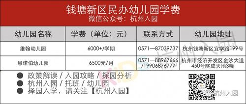 费用概览——表里如是却又如烟似雾。