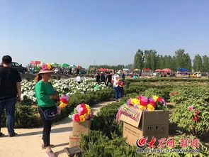 聊城的那些好玩的地方