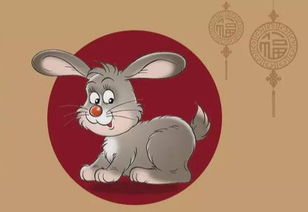 属兔的人