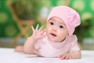 2026年龙年出生的女宝宝免费起名，有好的取名书推荐吗？