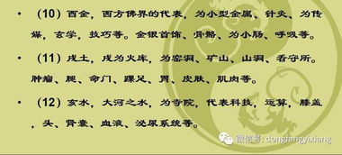 北斗七星与文曲星的奇幻漂流