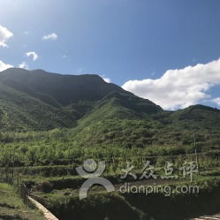 寻觅龙青山庄， 隐匿于山水间的神秘之地