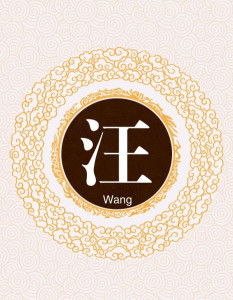 给当代汪姓人的生存指南