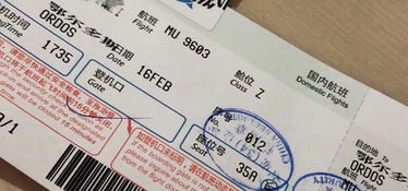 长乐出发的机票真相：那些“低价”背后的隐藏成本